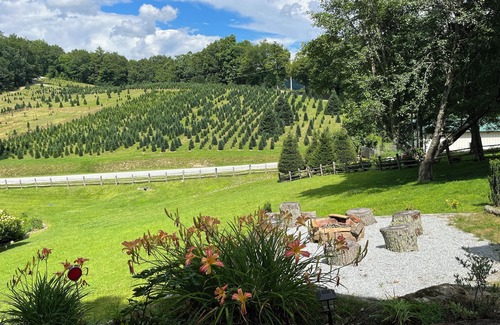 Cullowhee Kabine | 2 Views! Front view of Lake Glenville & back view of Christmas Tree farm!