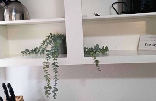 Ellendale Haus | 20 Minutes from Downtown - Blues City Retreat