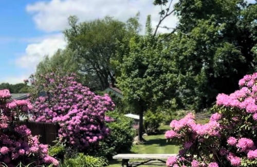 Pawcatuck Hütte | 3-Bed 19thC Cottage 9minutes from Misquamicut Beach