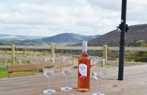 Llanwrthwl Hütte | 3-Zimmer-Unterkunft in der Nähe von Llanwrthwl, Powys