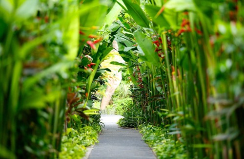 Nakula Villa | 3 BR Private Pool Villa, 5 Minuten zu Fuß zum Strand und Seminyak Einkaufsviertel