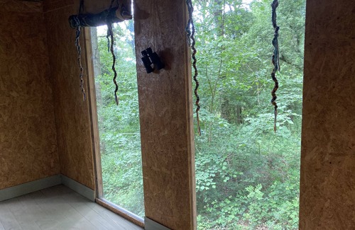 Longhope Kabine | Unique off Grid Tree-House Stay in oak woodland