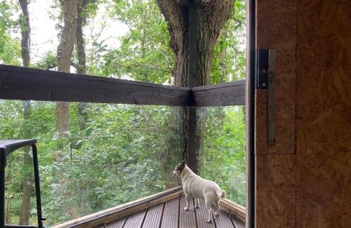 Longhope Haus | 3 Guests - Pet Friendly - Grid Tree-House