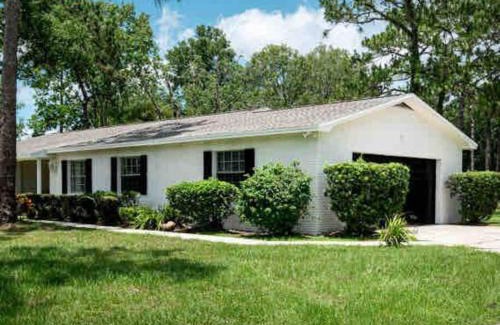 Greater Northdale Haus | 3bdr2bath home in Lutz close to Tampa, 20 min to Stadium, Airport