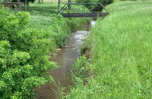 Franklin Haus | 3BR 2BATH Gorgeous Country Near Nashville F1