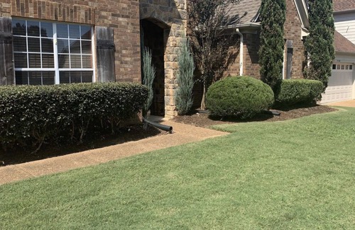 Cordova Haus | Modernes, hippes Luxushaus mit Theater und großem Garten (420 freundlich)