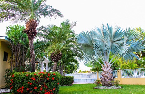 Koyari Haus | 4 Bett 2 Bad Tropical Aruba Villa Oase nah an alles!