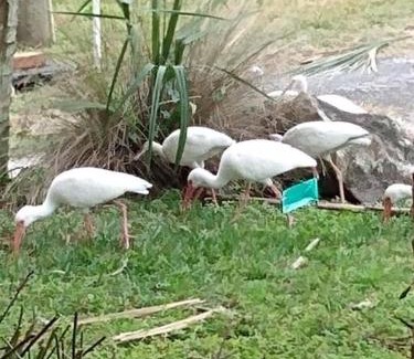 Hudson Haus | 4BR Private Dock, Warm Spring Canal, Kayaks, Canoe