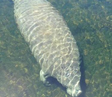 Hudson Haus | 4BR Private Dock, Warm Spring Canal, Kayaks, Canoe