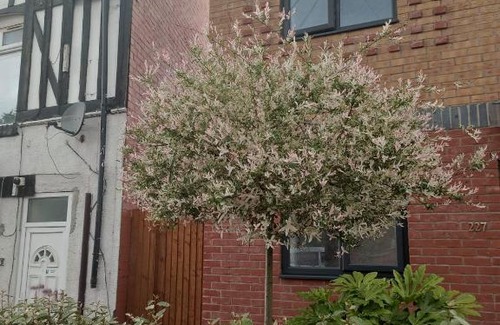 Yardley Haus | 5 Bedroom Spacious Home