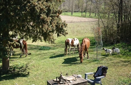 Serignac Haus | 5mn from a lake Quiet country house (pets welcome)