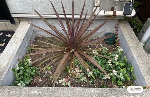 Naka Wohnung | 62平米快適滞在!横浜中華街&山手エリアの静かな一軒家