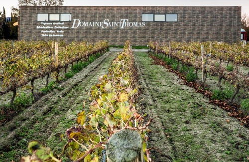 Argeles-sur-Mer Haus | Canigou, Gite de charme au coeur des vignes avec jacuzzi