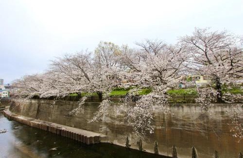 Kita Villa | 7時IN19時OUT # 池袋駅でのお迎えあり # テラスハウス # 駅近10分 # 上野駅電車12分 # 最大7名 # 7 00 IN19 00 OUT # Pick up Ikebukuro # Terrace House # 10 min to station # 12 min to Ueno # Max 7