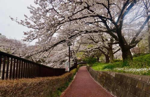 Kita Villa | 7時IN19時OUT # 池袋駅でのお迎えあり # テラスハウス # 駅近10分 # 上野駅電車12分 # 最大7名 # 7 00 IN19 00 OUT # Pick up Ikebukuro # Terrace House # 10 min to station # 12 min to Ueno # Max 7