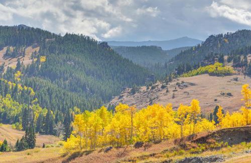 Dayton Haus | 7 Mi to Bighorn Natl Forest Dog-Friendly Home