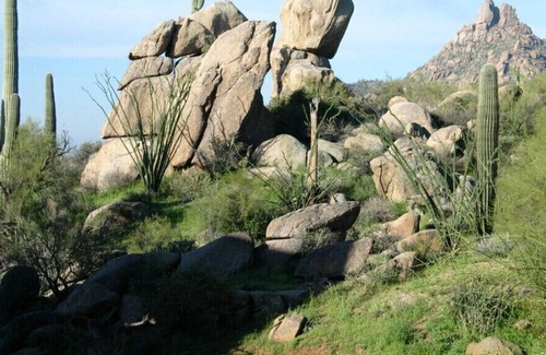 Troon North Villa | 7 Nächte im Wüstenparadies 3 / 24-31 bevorstehende Spring Break / Training's Last Games