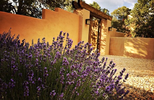 Canoncito Haus | Verkauf 7. nt GRATIS!$ 125 - $ 595 pro Nacht Abgeschiedenes NM Style Retreat Enchila