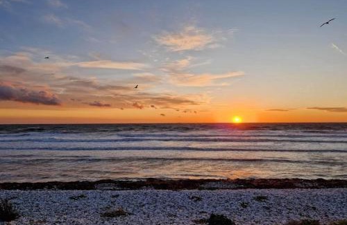 Læsø Haus | 8 person holiday home in Læsø