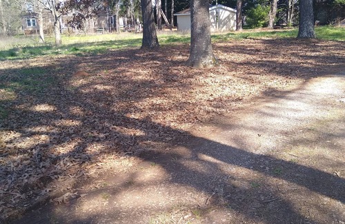 Covington Haus | A Beautiful Secluded home away from home!