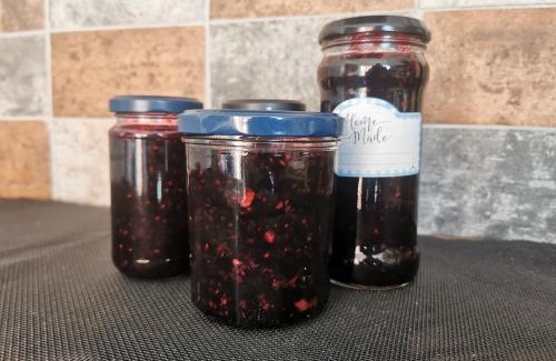 Belper Haus | A Bird House