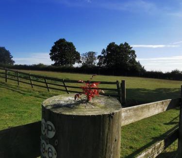 Belper Haus | A Bird House