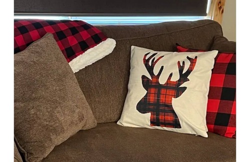 Chester Haus | A Cozy Little House with a lot to offer!