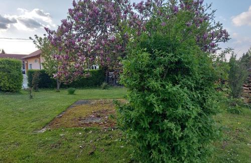 Koprivnica Haus | A house, free parking, sauna