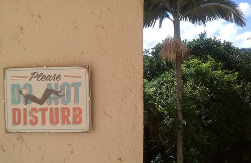 Lagoa da Conceicao Wohnung | Ein Stück Paradies in der Mitte von der Insel!