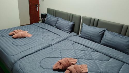 Tha Rap Haus | A Plus Hometel - บ้านเอ๋ โฮมเทล
