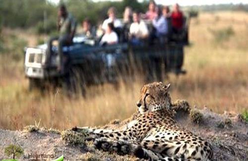 Mbazwana Skihütte | A real African bush experience with the perfect blend of home comforts.