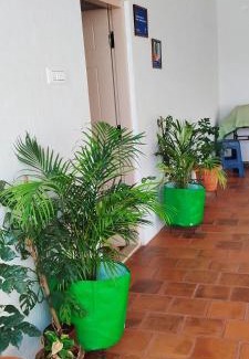 Vijayanagar Haus | A spacious AC room with wide Balcony -Karimbumel House a perfect place for yoga practicioners