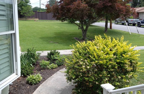 Clifton Forge Haus | A Stylish 2+ Bedroom Rancher