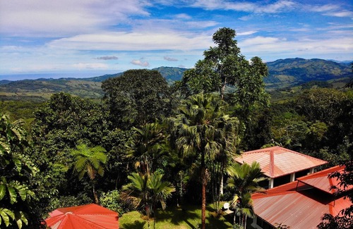 Baru Haus | A tranquil Balinese-inspired jungle oasis