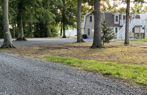 Greenwood Hütte | -A travelers cottage - A place to rest after a busy day.