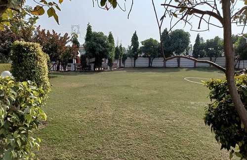 Gurugram Sonstige | Achal's जंगल में मंगल