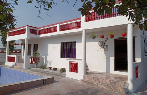Gurugram Sonstige | Achal's जंगल में मंगल