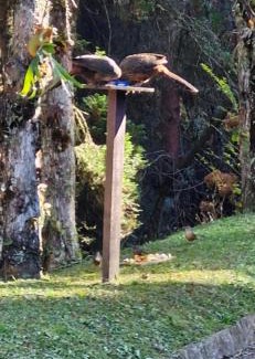 Vila Poran Haus | Aconchego na natureza