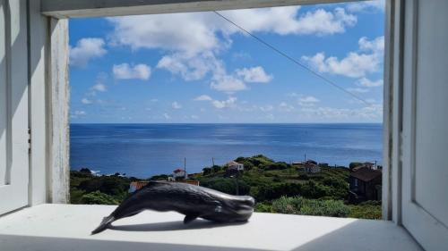Calheta de Nesquim Haus | Adega da Figueira