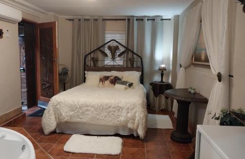 Stilfontein Haus | African Elephant's Den