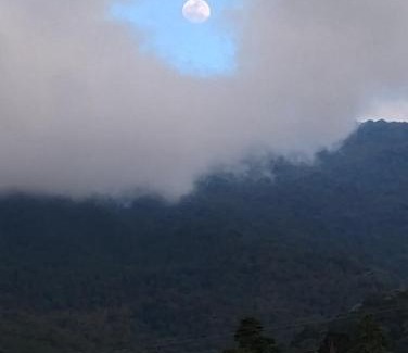 Cordoba Haus | Agüita con Limón Natural Health