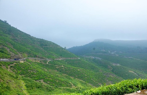 Valparai Kabine | AGB Jungle Resort
