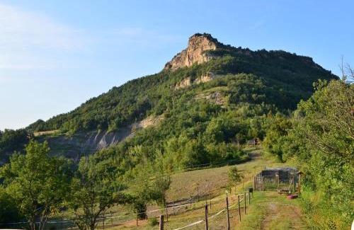 Livergnano Sonstige | Agricampeggio Cà di Mazza