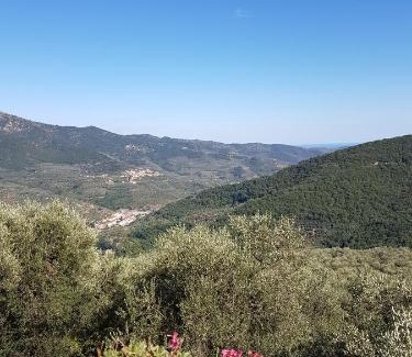 Lucinasco Wohnung | Agriturismo Dinoabbo Apt