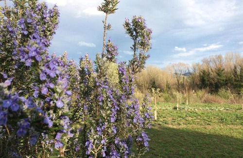 Carpena Haus | Agriturismo Il Pettirosso
