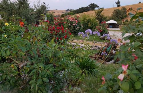 Pesaro Haus | Agriturismo La Stradaccia
