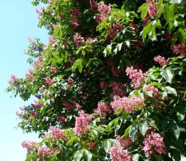 Argelato Haus | Agriturismo la Torre