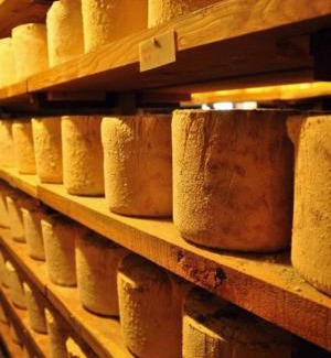 Castelmagno Wohnung | Agriturismo Valliera