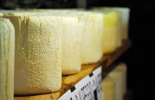 Castelmagno Wohnung | Agriturismo Valliera