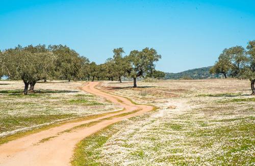 Montemor-o-Novo Haus | Agro-Turismo Herdade do Carneiro